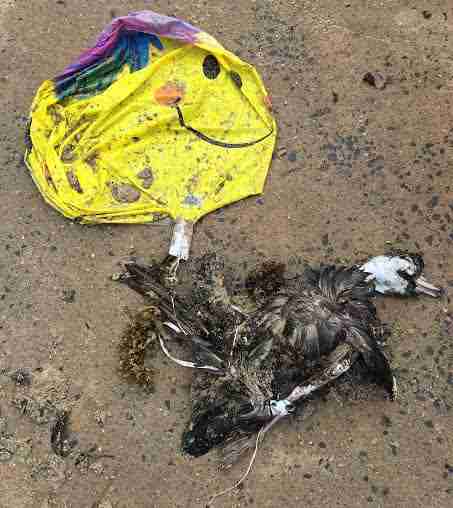 Julia Bradbury I HAVEN'T BOUGHT BLUE TICK💙 tweet media