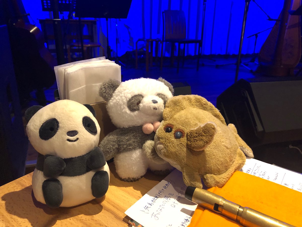 ট ইট র やわらかん S Cafe なんと ぬいぐるみさん同伴でいらしてる出演者の方が かわいいパンダさんたち カレイ店長おともだちができて嬉しそう よかったねぇ ぬいぐるみと撮り隊 ぬい撮り あなたの夢を叶えるコンサート