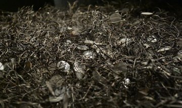 MuzeumAuschwitz's tweet photo. Historia #Auschwitz jest złożona. Był to zarówno obóz koncentracyjny, jak i ośrodek zagłady. Było to miejsce, w którym nazistowskie Niemcy prześladowały wiele grup ludzi. Dziś chronimy miejsce i dbamy o pamięć wszystkich ofiar. https://t.co/5jR2LlE1qF

#IDMS2021 #ComplexPasts https://t.co/cL4RMhdveO