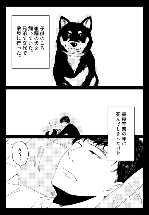 夢の話 