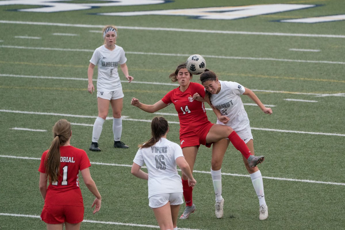 Michelle Davidson tweet media