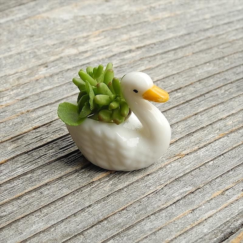 Tiny swan planters
