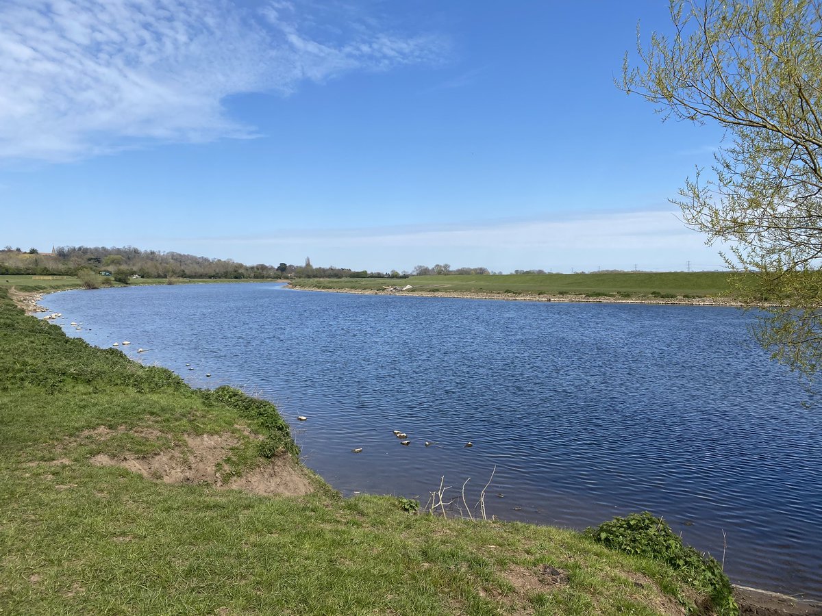 acsnottingham's tweet photo. Fabulous Sunday walk from #Lowdham to #Hoveringham then back along the #RiverTrent to #Stoke Lock and through Netherfield Lagoons to Carlton. https://t.co/t7B1D9VbDN