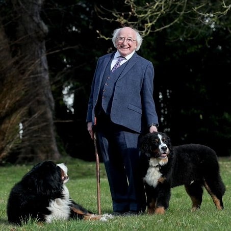 Happy Birthday to the best President in the world Michael D. Higgins.  