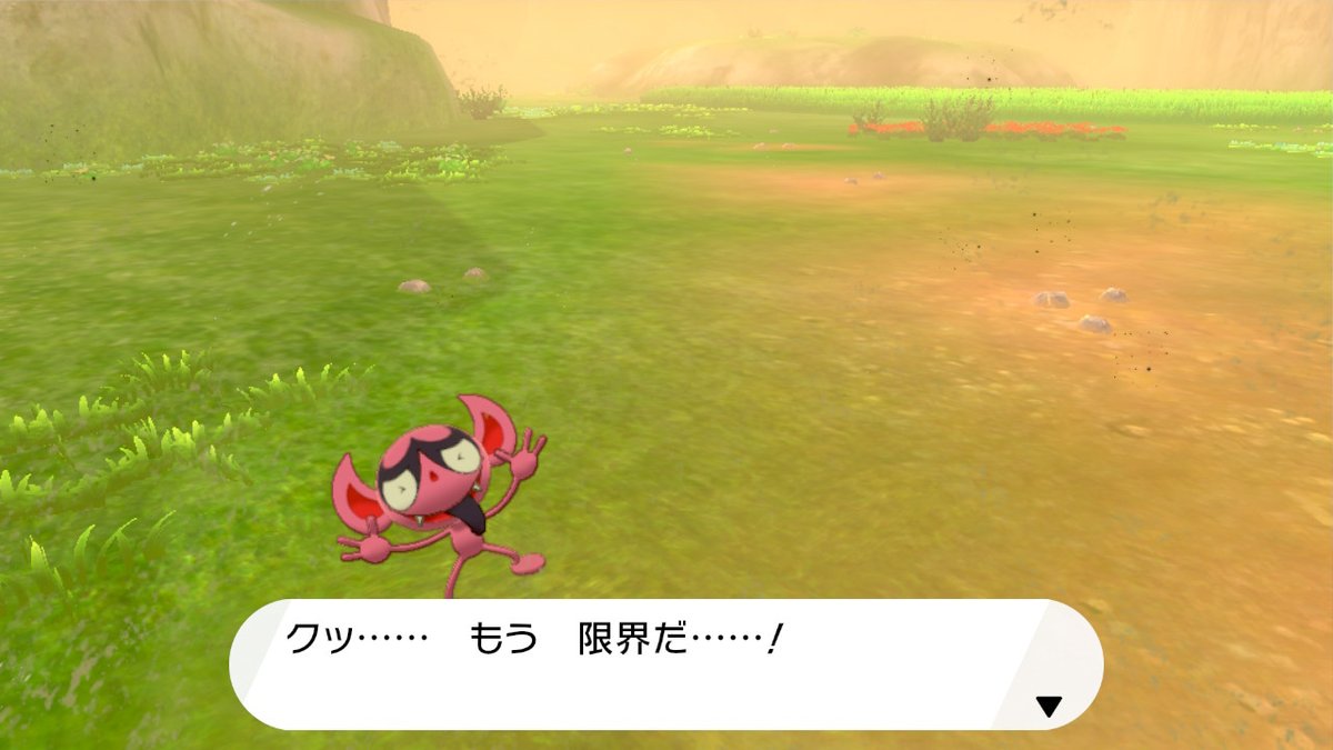 あおい 今日のスクショ ポケモン剣盾 Nintendoswitch