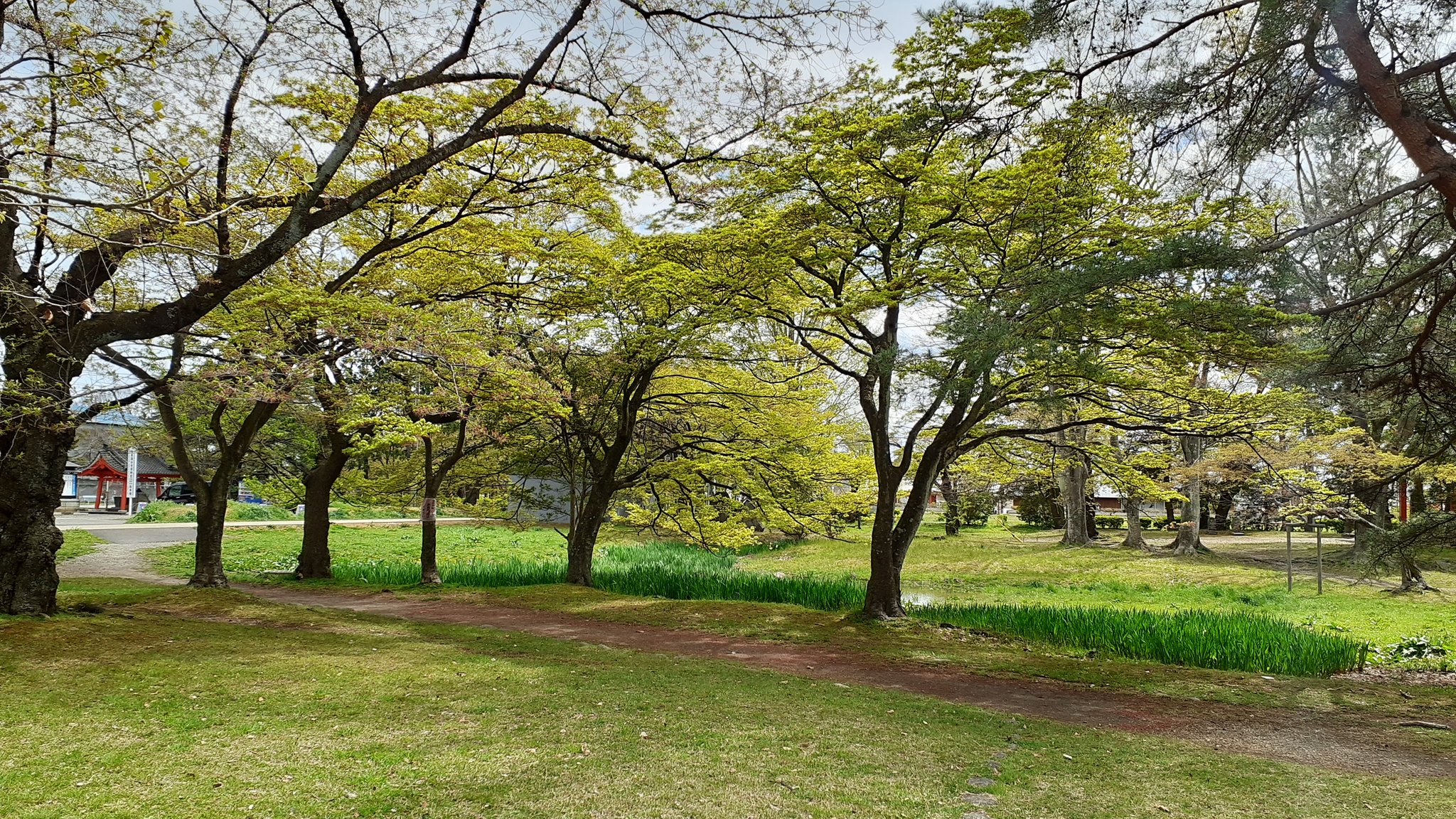 ともやん 就活生 若者応援 社宅近くの公園 木々は から新緑 へ 季節の移り変わりを実感した 午後の散歩 2時間 コース とても綺麗だったなぁ 癒された 自然に感謝 ありがとう 新緑 自然は偉大だ T Co O0y3rm8hhe Twitter