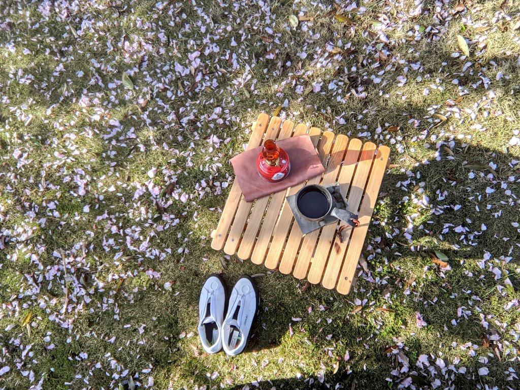 kyocamcam's tweet photo. たまには乙女っぽいのいいですか？
ww

この大ぶりな花、桜っぽいけれどなんだろうって思ってたら、カンザンっていう、バラ科サクラ属のサクラだそう（Google画像調べ😆）

珈琲忘れて白湯、飲んでますねん👋

#キャンプ女子 
#キャンプ道具 
#キャンプギア https://t.co/hFU1xpQ9Oo
