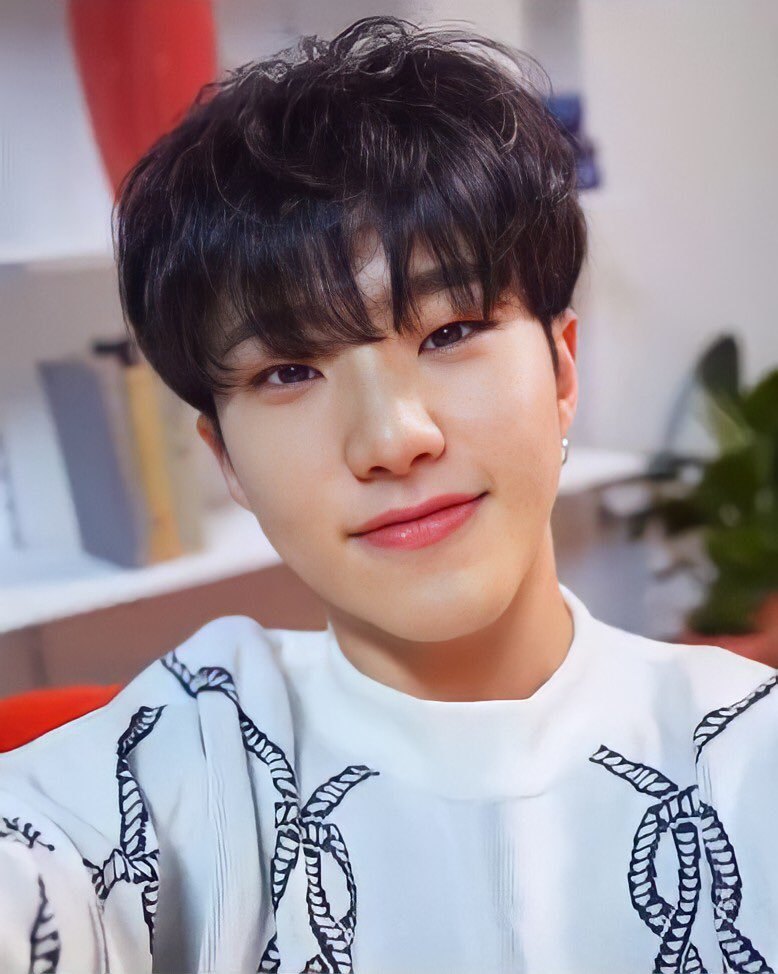 seventeen ひとりじゃない ホシ-