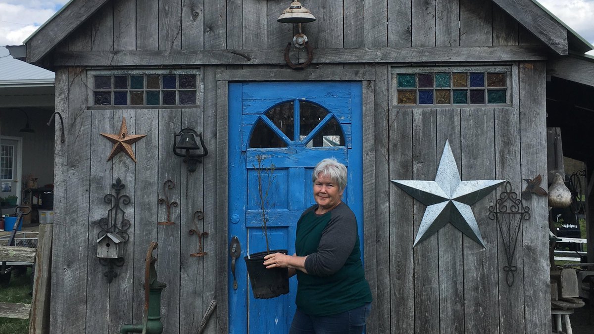 NativeInHarmony's tweet image. Natives in Harmony is open for the season, and we have a special announcement! In honor of the 51st anniversary of earth day, we will be giving away a FREE TREE to our first 350 customers who would like one!