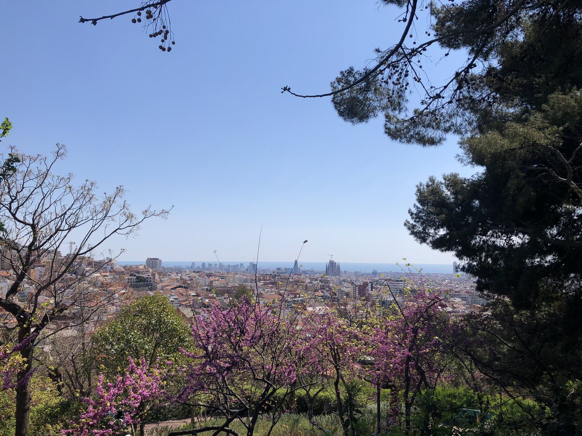 ToniBarreraEsco's tweet photo. Migdia esplèndid des del Turó del #Putget #BCN, a uns 183 m snm. És un dels #7turons del pla de BCN. Boniques vistes del Pla i alguns dels altres turons #ConfinamentComarcal https://t.co/Vo0O2SIJSB