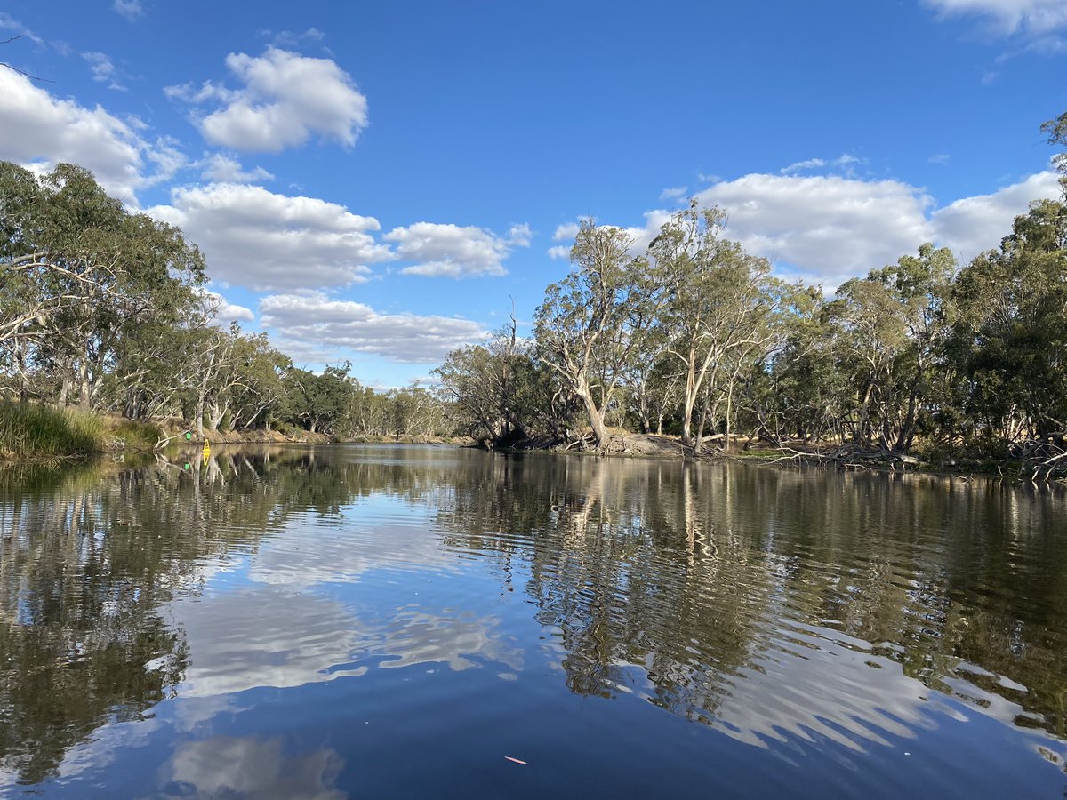 Danielle Phyland tweet media