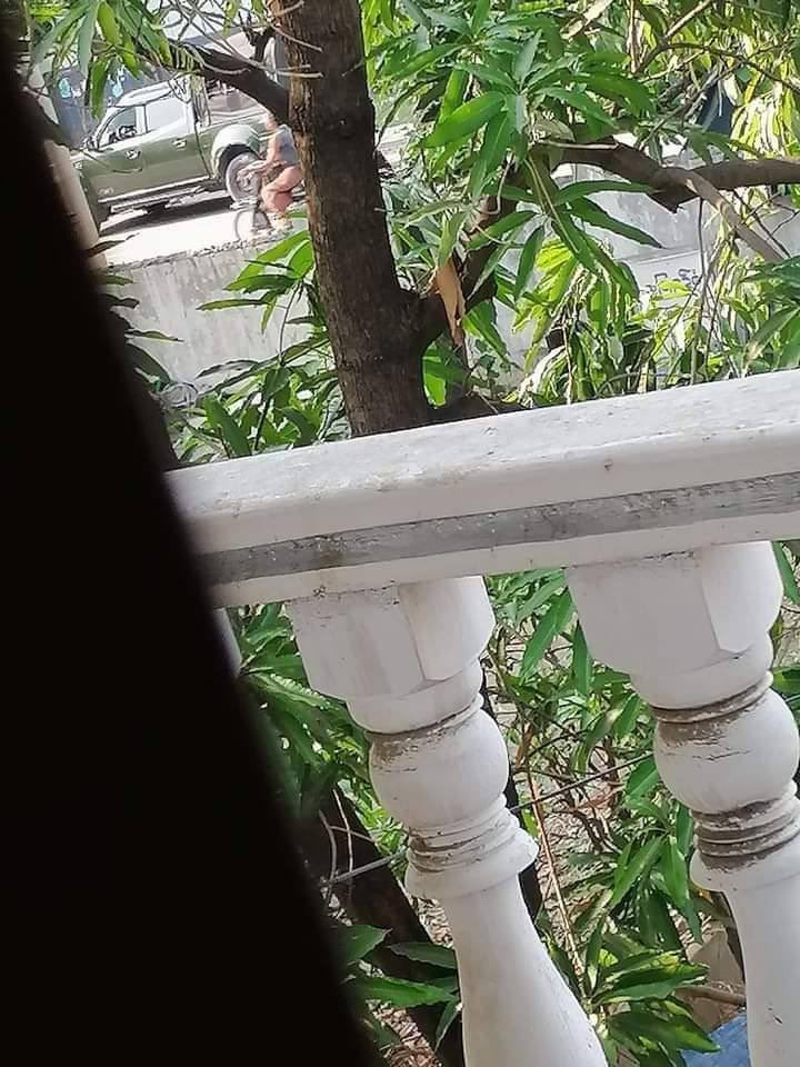 ms_monn's tweet photo. Military terrorists were seen raiding Sein Pan ward and deploying in the BEHS 24 of Mandalay according to locals.
NUG ASSEMBLE
#Apr18Coup
#WeSupportNUG
#WhatsHappeningInMyanmar https://t.co/B0EkZyRmOh https://t.co/b7P3nHUhG8