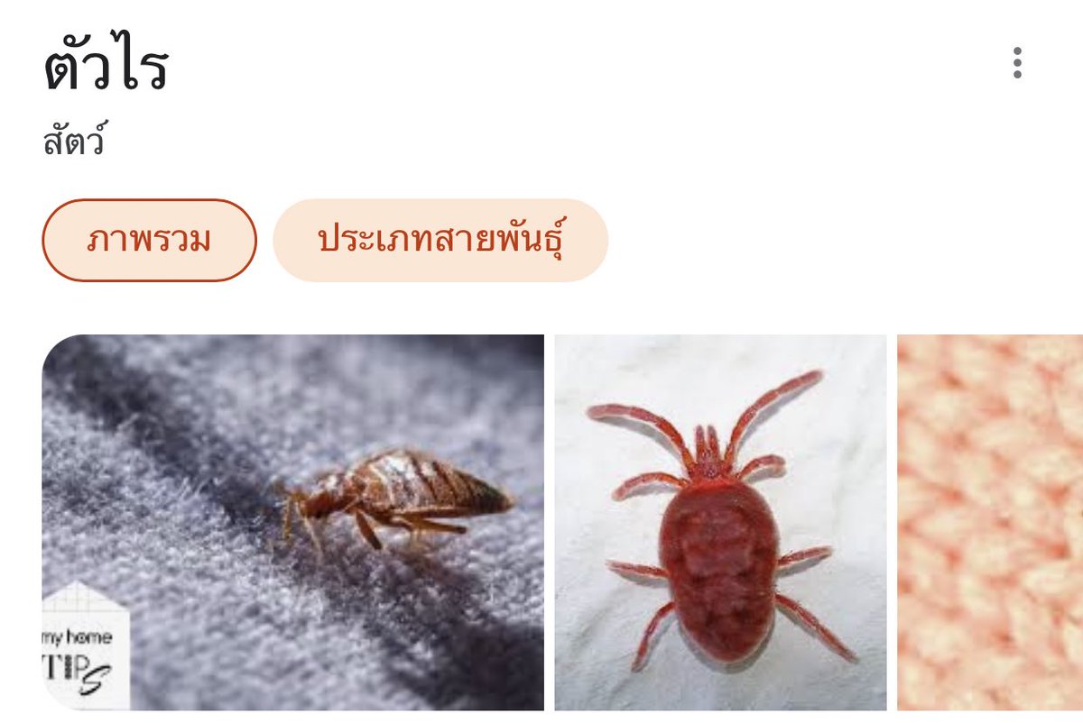 กวิ้น tweet media