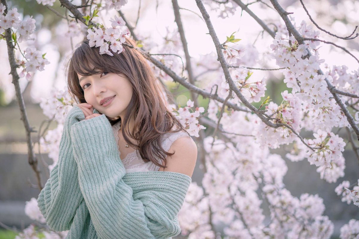 2021年3月
model:もーもーさん(<a href="/m_o_w_m_o_w/">もーもー</a> )

桜まとめ🌸
去年自粛した分、今年はいろんな桜と撮れてよかった✨
また来年も撮りたい😎

#ポートレート #写真好きな人とつながりたい #a7RIII #被写体募集中