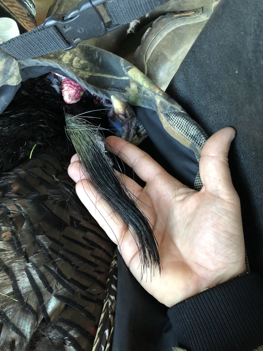 Jason Reynolds tweet media