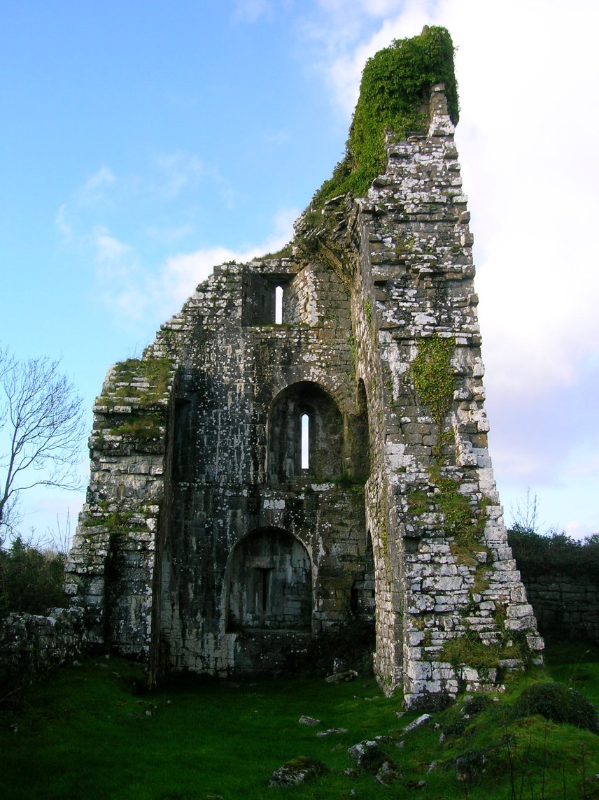 #AprilTowers Pics of the #towerhouse at Aghalahard, #Mayo. A form of castellated structure that became common in Ireland; and in use from the 14th to mid 17th cents. 2nd pic provides an interesting cross section of a towerhouse. A machicolation in the 1st, a defensive element.