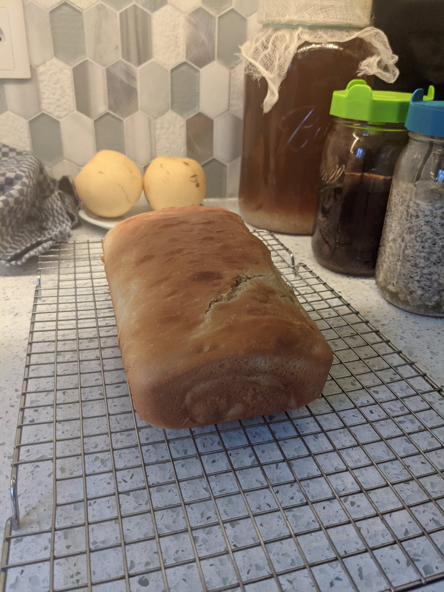 My first attempt at Shokupan. It's a bit squat. I'm not sure if my pan was too large for the recipe or it didn't rise properly. The crumb and texture are good though