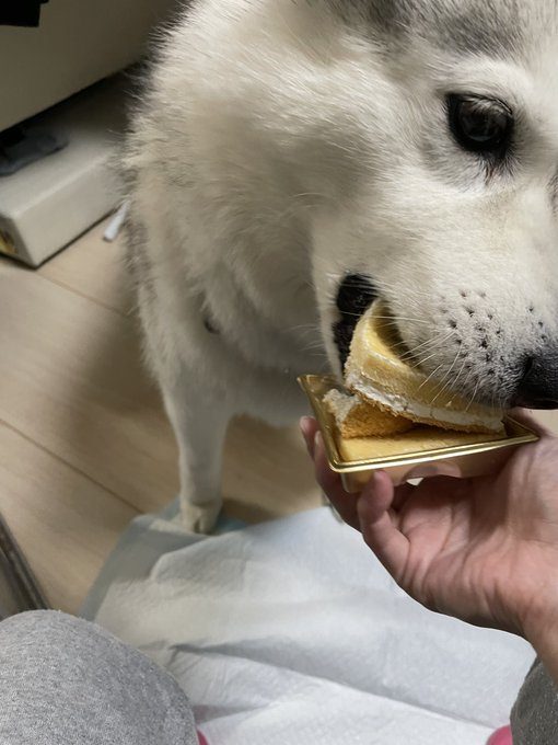 食べ残しケーキよりこっちの方がキッツイ 食べ残しケーキよりこっちの方がキッツイ