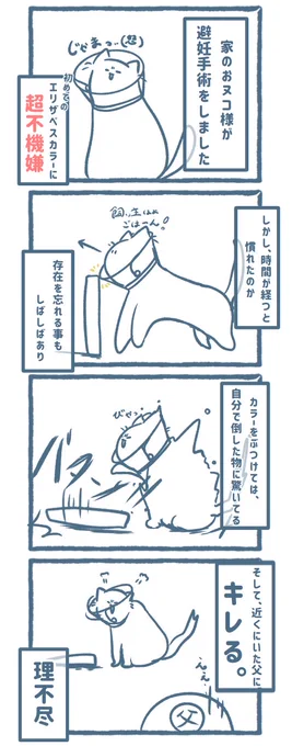 愛おしい毎日です。 