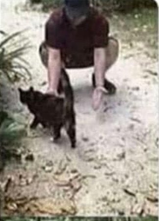 yapayaracIar's tweet photo. 6 Ay boyunca sahibini görmeyen kedinin sahibiyle buluştuğu anda verdiği tepki.. 🥰❤️ https://t.co/pvsNBzZuPG