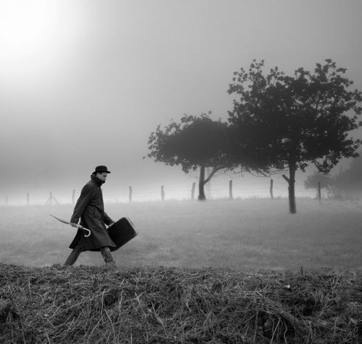 "Hay un tiempo de partir, incluso cuando no hay lugar cierto al que ir".
Tennessee Williams