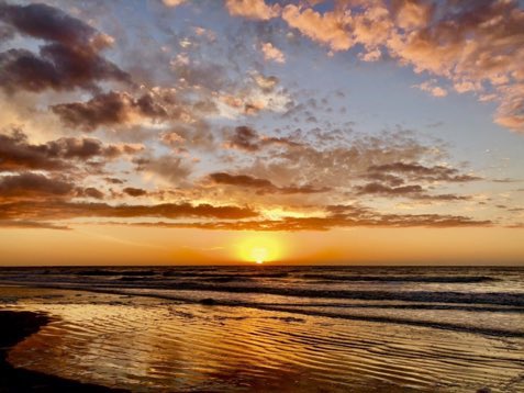 Sunday solitude 🔥 #SunsetBeach #beachlife <a href="/helenholt123/">Helen Holt</a> <a href="/LeeHaywoodWX/">Lee Haywood</a> <a href="/ramelcarpenter/">Ramel Carpenter</a> <a href="/EdPiotrowski/">Ed Piotrowski</a> <a href="/SydneyMadisonW/">Sydney Madison</a> @WXIIJackie @Em_I_Am <a href="/sarah112507/">Sarah Kyle</a> <a href="/JustinMcKeeWx/">Justin McKee</a> <a href="/FoothillsBeer/">Foothills Brewing</a> @J0_Neas <a href="/RealSaltLife/">Salt Life</a> <a href="/StarboardRail/">The Starboard Rail</a> <a href="/StormHour/">#StormHour</a> @donnagregorync @MeredithWLWT <a href="/Christina4casts/">Tina</a>