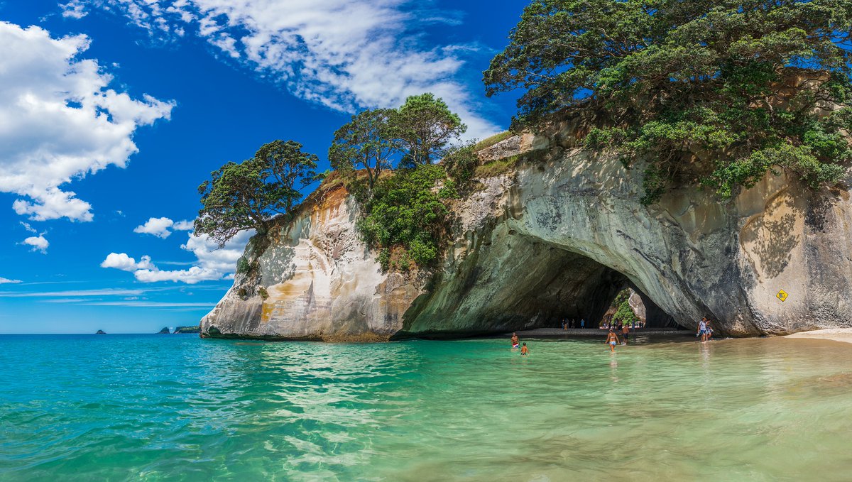 BonkersBlake's tweet photo. Currently trying to improve my snorkelling with Stingrays section with a bit more description so here's what my brain looks like right now - come join the tropical paradise! 

#amwriting #amediting #AnimalCompass #Travelbook #WIP #WritingCommunity #writerslife #beachlife https://t.co/lFIVt2N8Bx