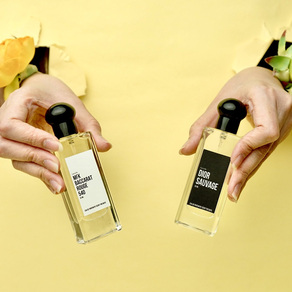 threadshopee's tweet photo. Rekomendasi parfum inspired terbaik✨MURAH hanya 99 rb,wangi tahan lama &amp; mirip parfum aslinya,sudah banyak testinya!
Langsung cek

https://t.co/bQqL7G06Nj https://t.co/qTz1FjGut7