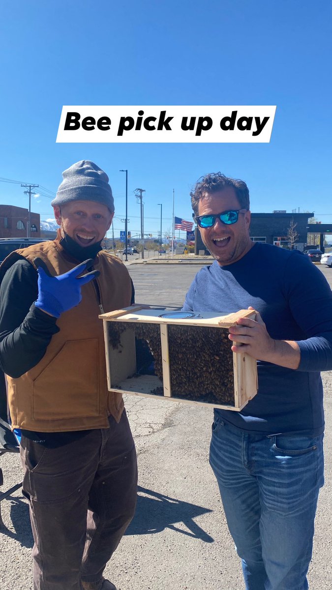 ApisHive's tweet image. Grand Junction CO #packagebees #apishive starts today at 9Am. See you there! Instructions via the link🐝👍🏻❤️

onlinebeeschool.com/package-bee-pi…