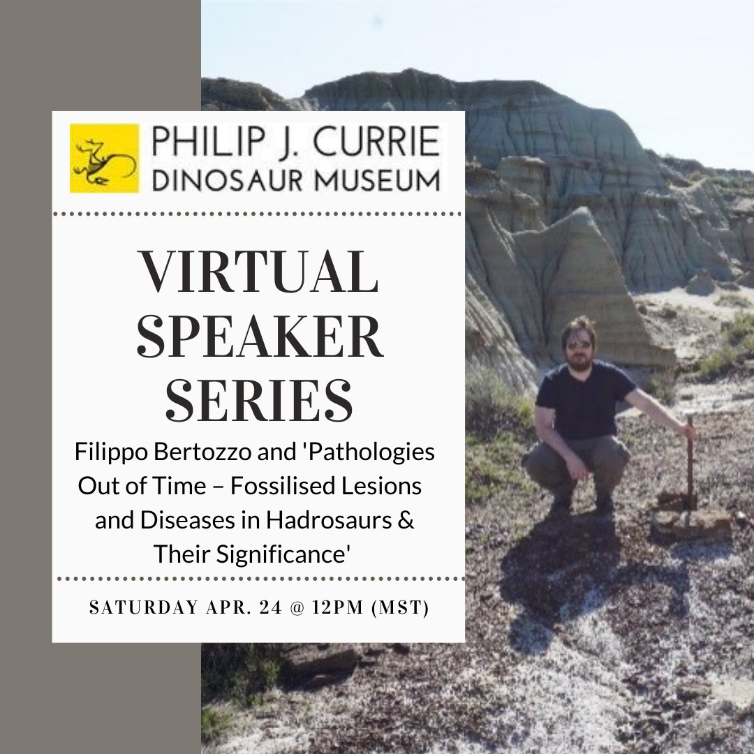 CurrieMuseum's tweet photo. 📣Virtual Speaker Series Alert📣 
@Paleofolk is presenting ‘Pathologies Out of Time – Fossilised Lesions &amp; Diseases in Hadrosaurs &amp; Their Significance’ on April 24th at 12pm (MST). Join us as we venture into the Mesozoic era to reconstruct the troubled lives of giants past! https://t.co/m2EzDYIeCD