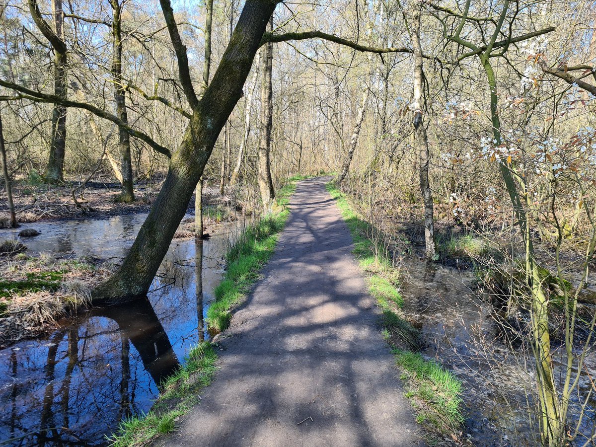 Mooie wandeling in de lentezon #pannenhoef #rijsbergen