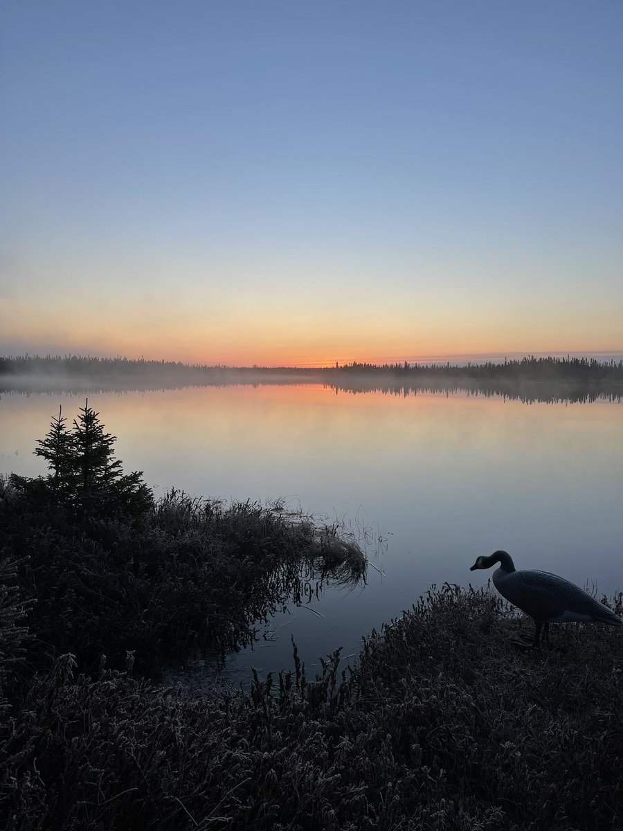 #goosehunting. #spring