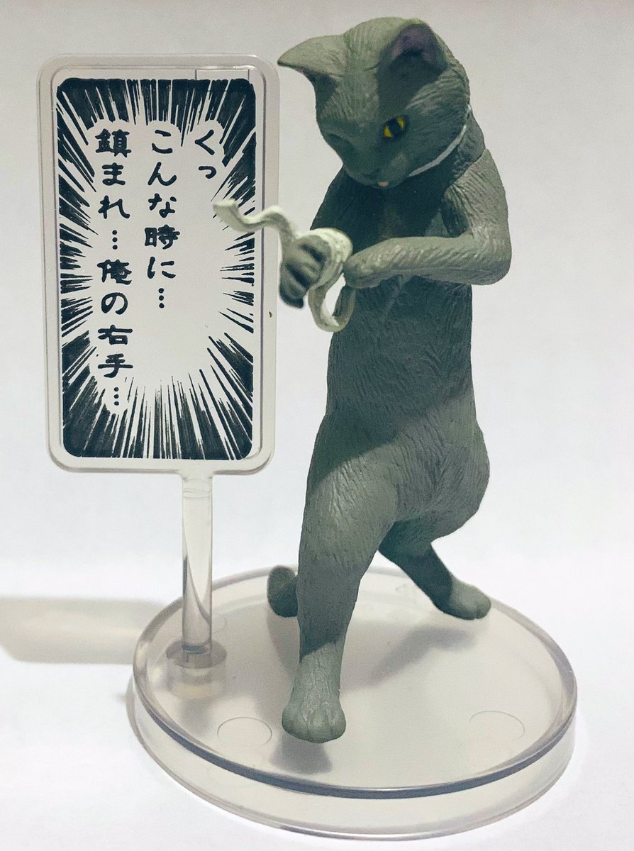 厨二猫 - Search / X