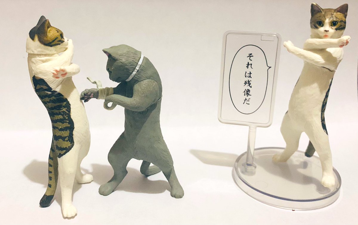 厨二猫 - Search / X