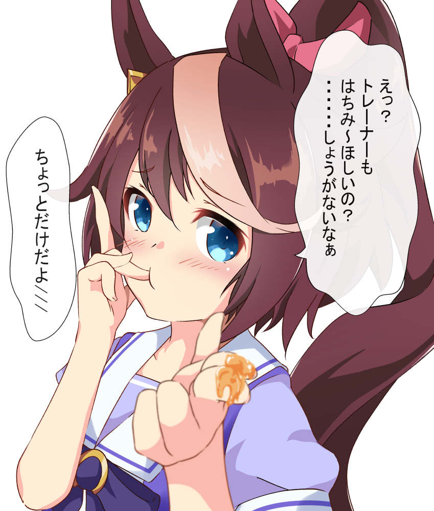 ウマ娘イラスト04 本日は 夢をかける馬 トウカイテイオーの誕生日です 4ページ目 Togetter