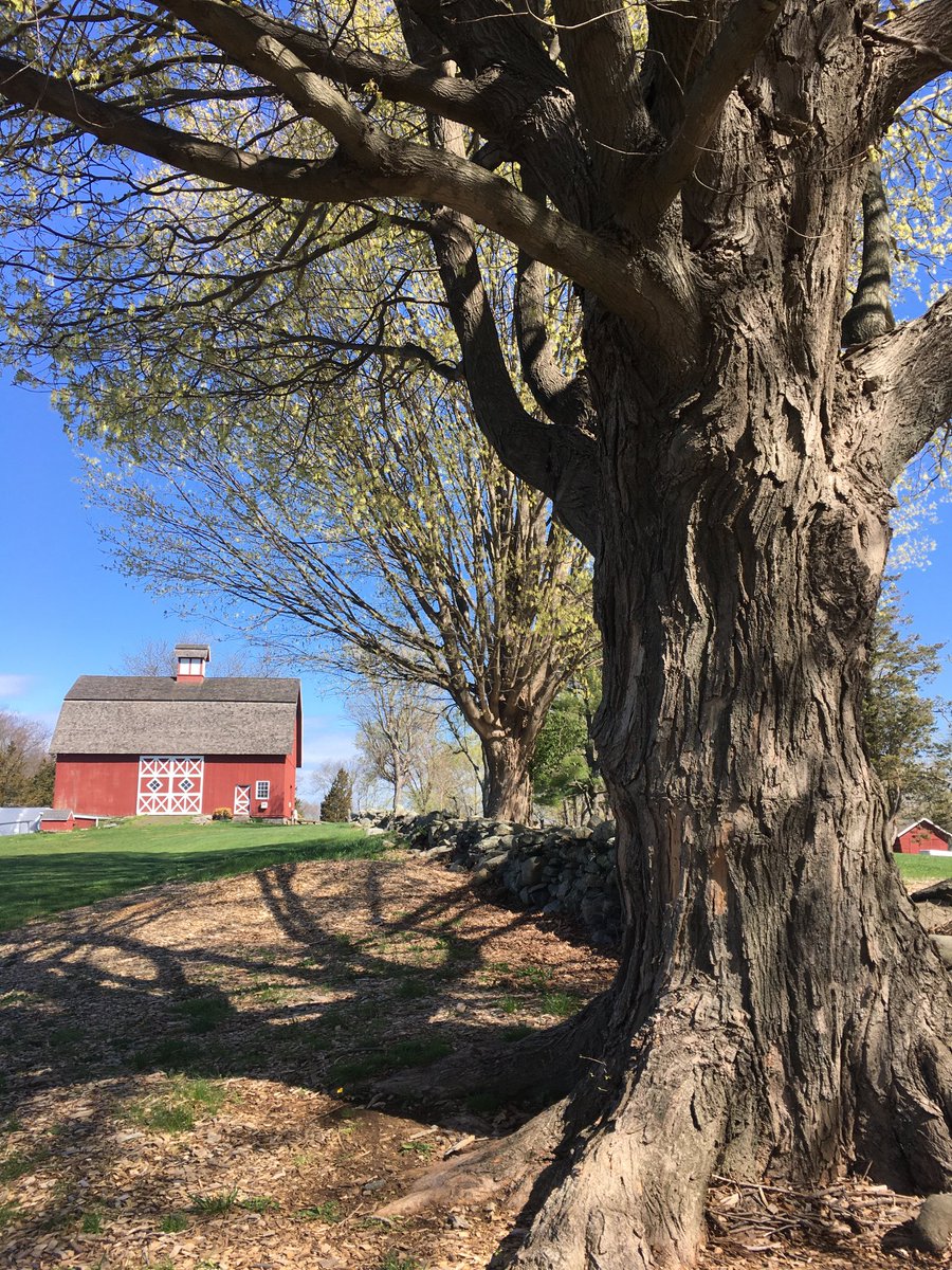 A walk at the local farm. Happy Sunday! 🌼🌸🌼