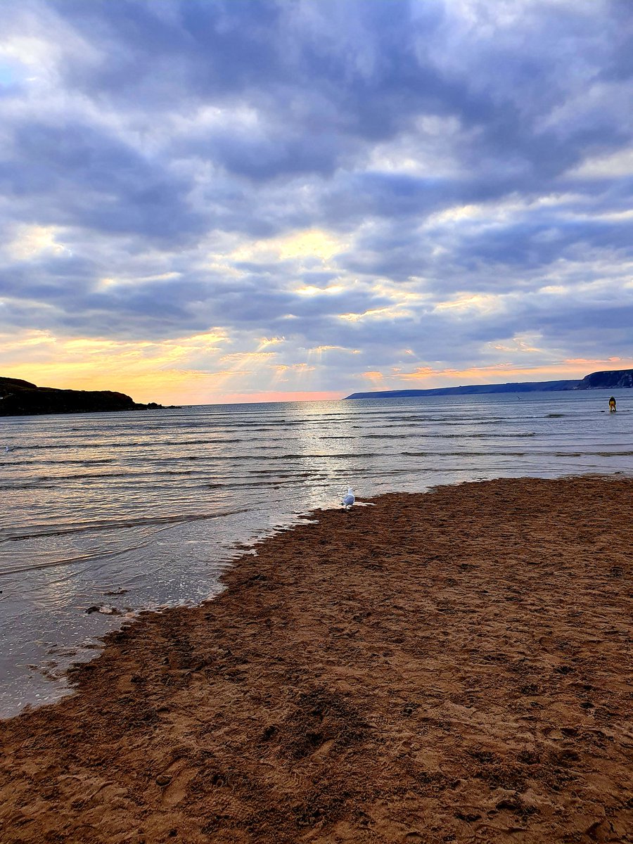 JamieBurke97's tweet photo. Amazing to capture this scene the other night. #beachlife #beach #PhotoOfTheDay #photography #sea #sunset #calm #bigbury #sky https://t.co/0oUk9VhMq0