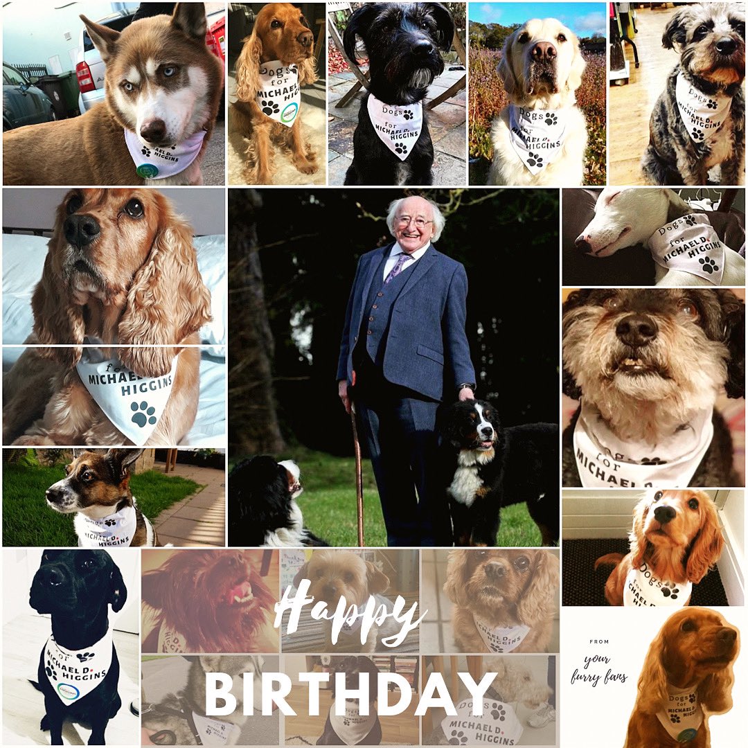 DogsForMichaelD's tweet image. Happy birthday @presidentirl, from your biggest fans. 

We think you’re pawsome! 🐾

Thank you being a champion for compassion and equality in society. ❤️