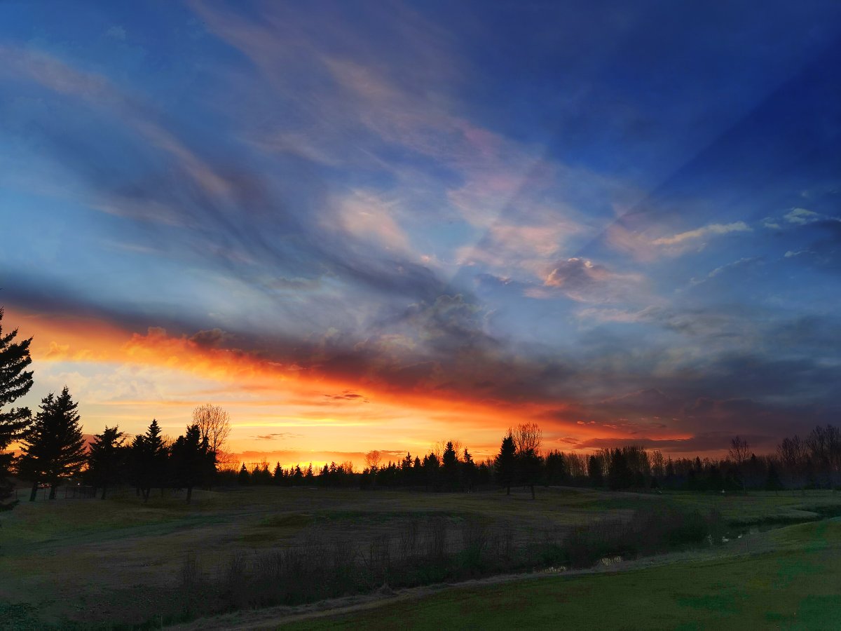 Paul Birnie tweet media