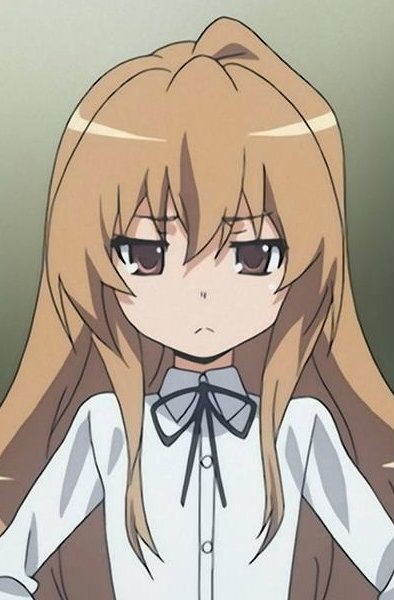 Taiga Aisaka : r/toradora