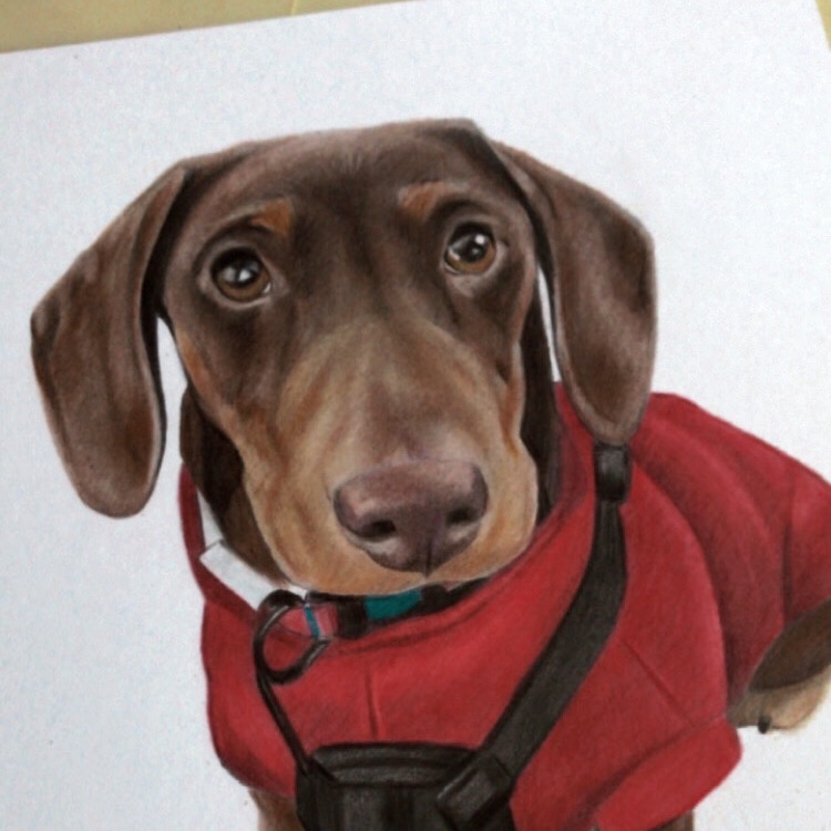 Just wanted to thank you all for the support on my last post, it really means a lot. I have limited availability for commissions for next month, pop me a message if you’re wanting one 🥰💗 Hope you’ve all had a wonderful  weekend.