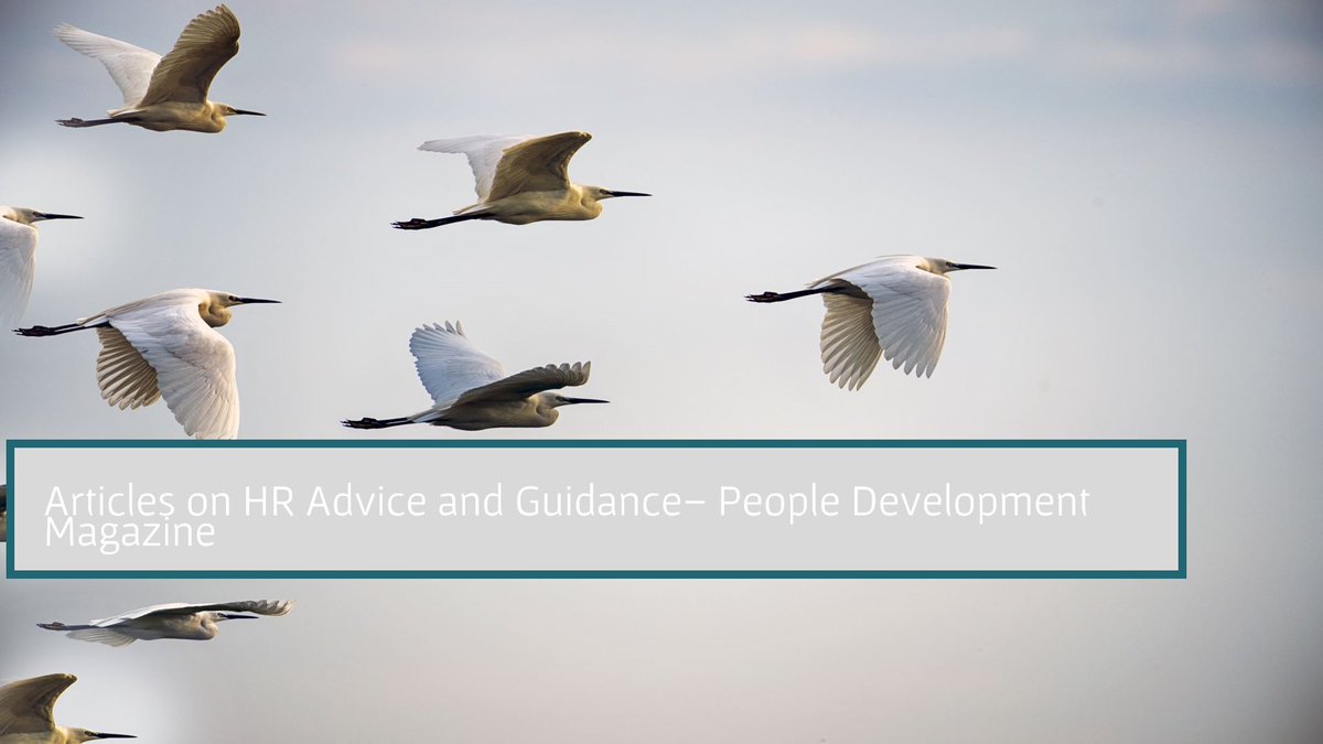 If you are a business owner, or work in an organisation you must have access to HR Advice and Guidance. Learn more about what is on offer via our articles.

Articles on HR Advice and Guidance  - People Development Magazine bit.ly/3bXiKuL  

peopledevelopmentmagazine.com