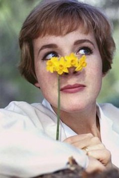 julie andrews 💛