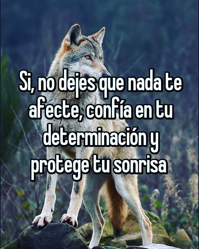 andreugalo's tweet photo. La mascara sirve para tapar el miedo o la maldad Quien no tiene miedo ni maldad da la cara  sonrie y vive su vida #LaGranMentira  #cuestionada #consciencia #Entiende #AmorYLuz #Salud #Tarragona #LibrePensador #Entiende https://t.co/JpAyA9LwXm