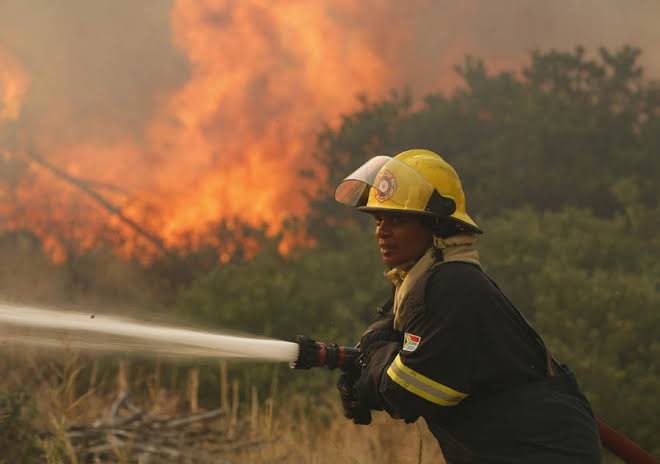 jsteenhuisen's tweet image. The selfless commitment shown by Firefighters throughout today at the #CapeTownFire is commendable. Our thoughts are with these heroes as they continue to manage the situation.

A big thank you also to all individuals playing their part in helping those affected by this crisis.