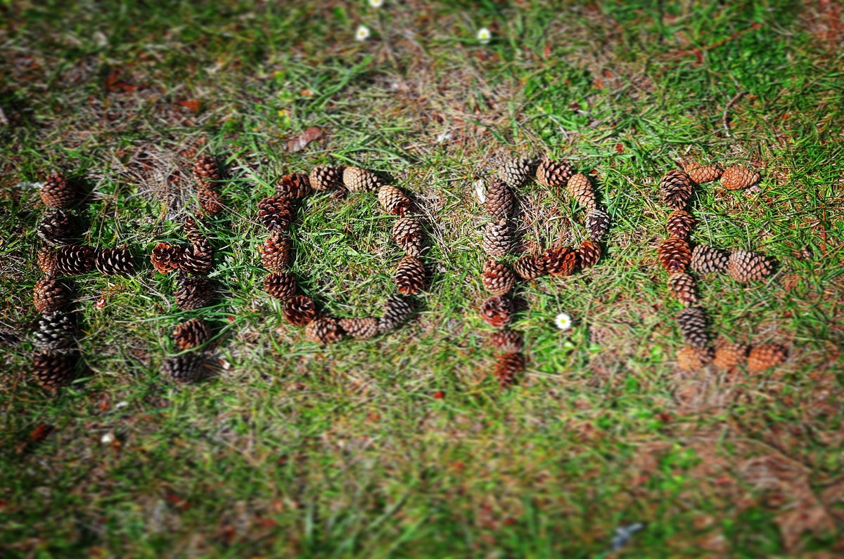 There is light at the end of the Covid tunnel! May the God of Hope fill you with joy and peace. 
#woodenhillpinecones
#romans15v13