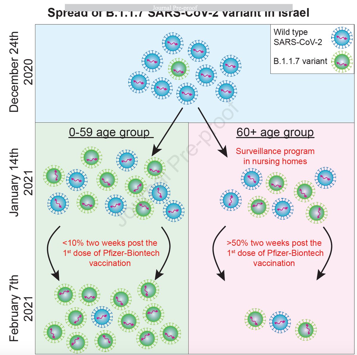 Eric Topol (@erictopol) on Twitter photo How vaccination successfully took on the B.1.1.7 variant
cell.com/cell-reports-m… <a href="/CellPressNews/">Cell Press</a> How vaccination successfully took on the B.1.1.7 variant
cell.com/cell-reports-m… <a href="/CellPressNews/">Cell Press</a>