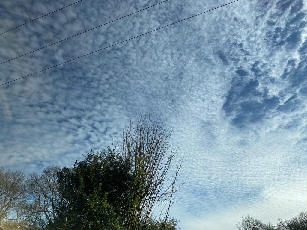 ChiddinglyRob's tweet image. steer clear of the Kent/Sussex borders today if you&apos;re not keen on fish - mackerel sky in all directions for pretty much the whole day so far...🐟🌤️⛅️🌥️☁️