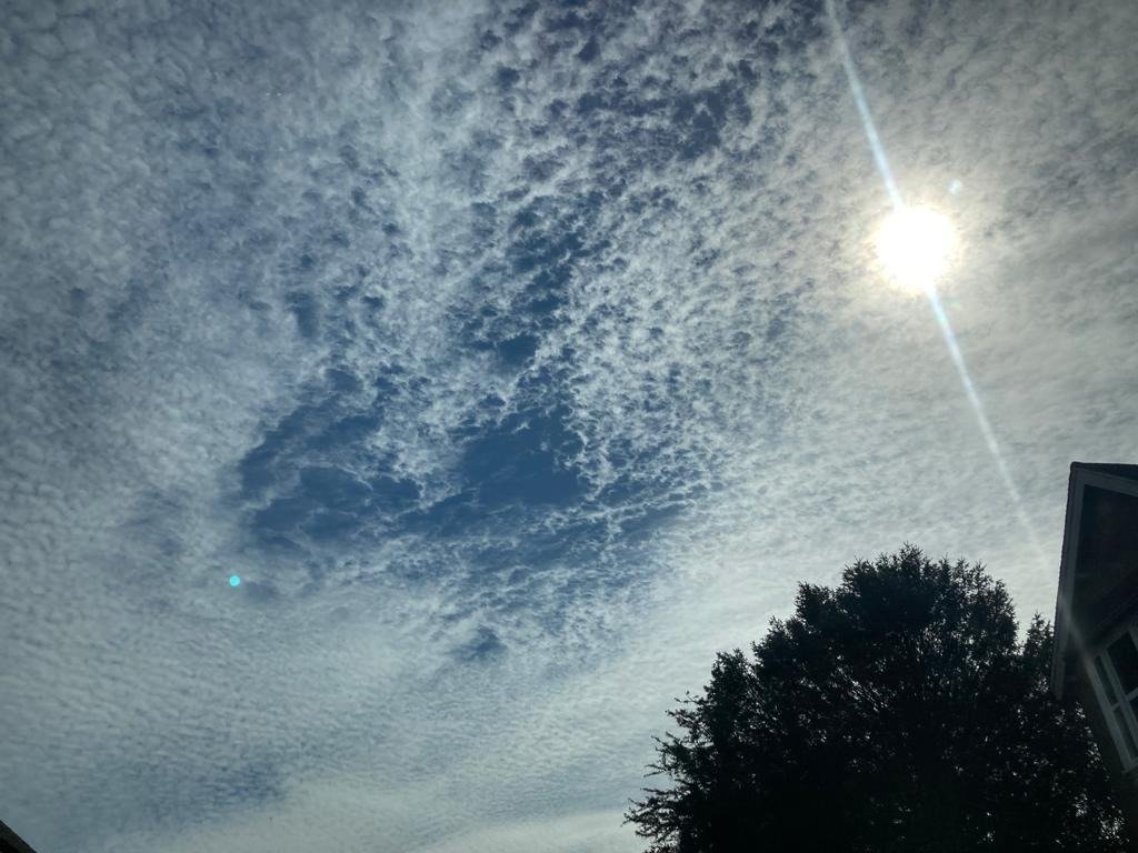 ChiddinglyRob's tweet image. steer clear of the Kent/Sussex borders today if you&apos;re not keen on fish - mackerel sky in all directions for pretty much the whole day so far...🐟🌤️⛅️🌥️☁️
