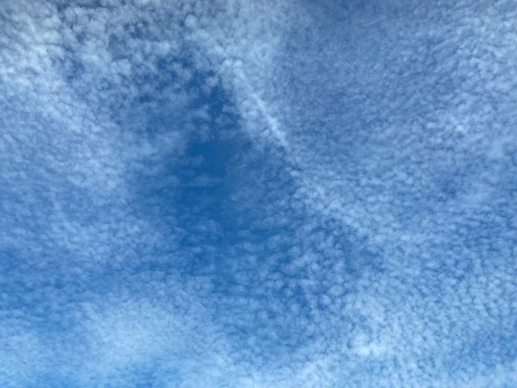 ChiddinglyRob's tweet image. steer clear of the Kent/Sussex borders today if you&apos;re not keen on fish - mackerel sky in all directions for pretty much the whole day so far...🐟🌤️⛅️🌥️☁️
